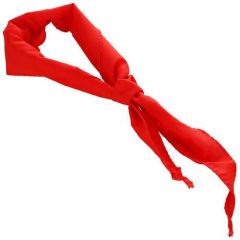 关于让红领巾更加鲜艳网上主题队日优秀作文5篇最新