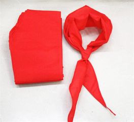 让红领巾更加鲜艳小学生优秀作文5篇精选2020