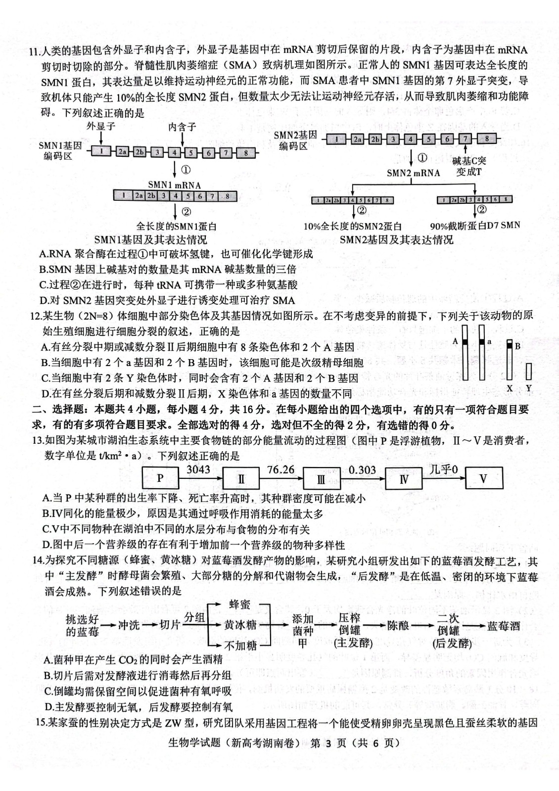 湖南省名校联盟2023届高三3月联考生物试题