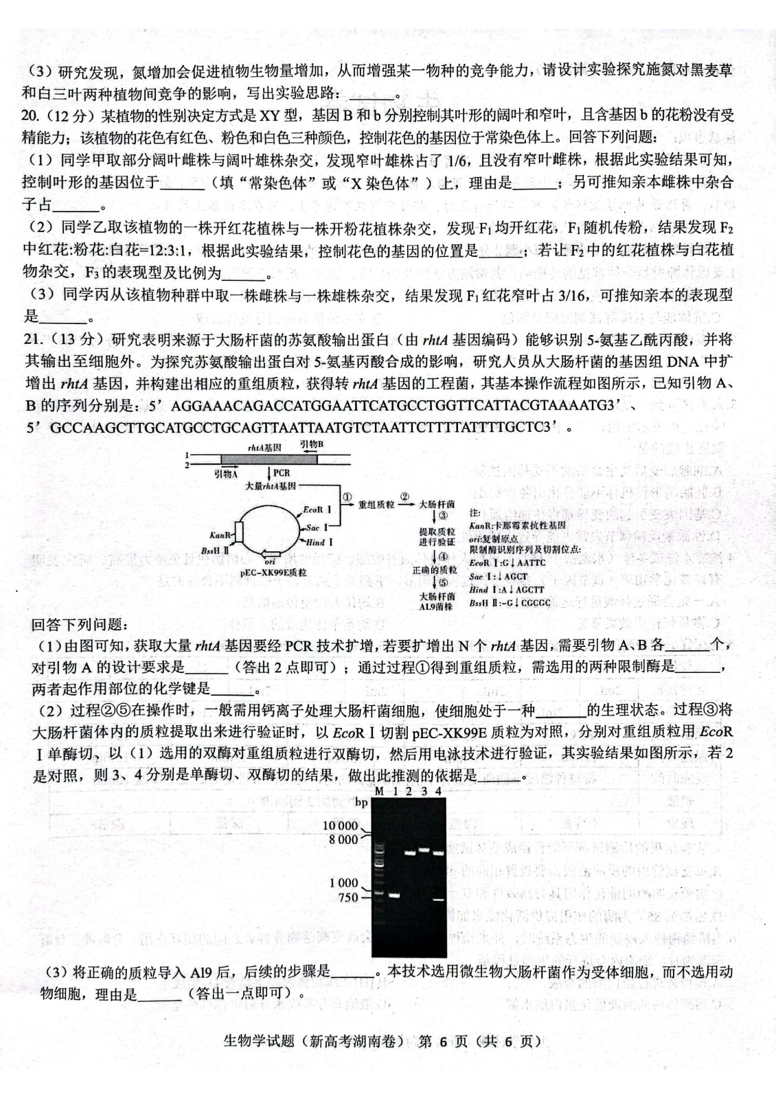 湖南省名校联盟2023届高三3月联考生物试题