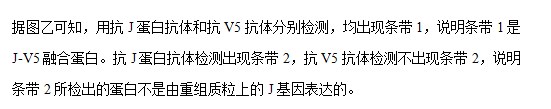 2023山东高考生物试卷解析版