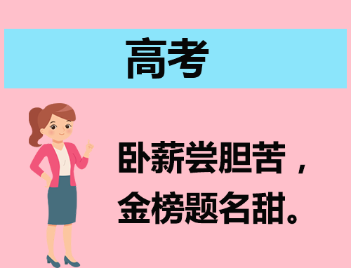 广东高考志愿2023填报要求有哪些
