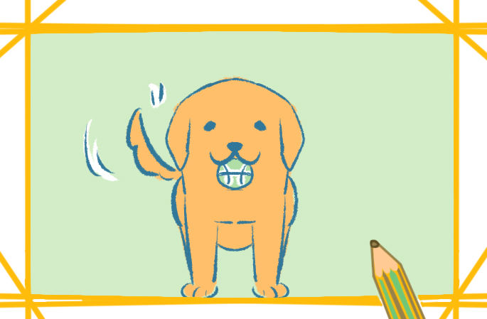 金毛简笔画狗狗的图片怎么画
