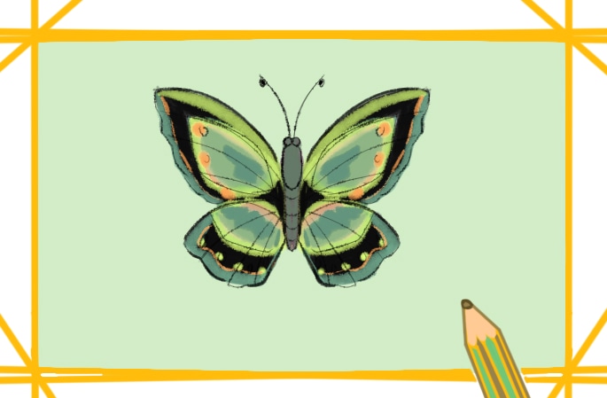 漂亮的蝴蝶上色原创简笔画要怎么画