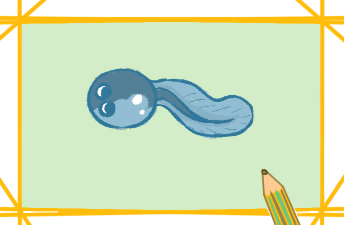 简单的蝌蚪上色简笔画要怎么画