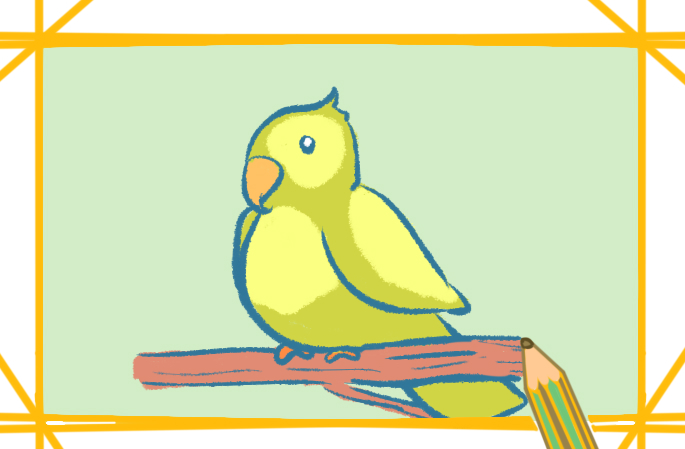 黄色的鹦鹉上色简笔画要怎么画