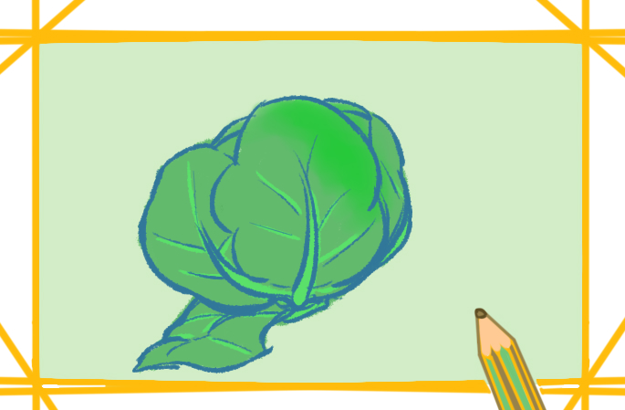 蔬菜之包菜上色简笔画要怎么画