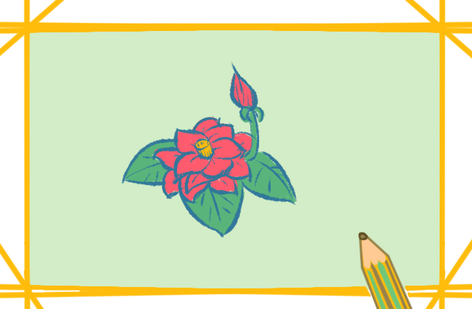 蔷薇简笔画简单又漂亮彩色图片