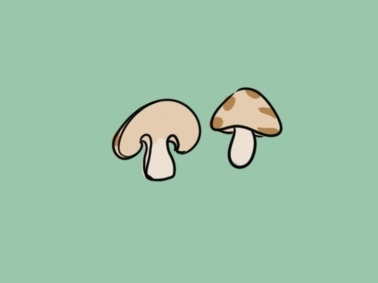 好看的蘑菇上色简笔画图片教程