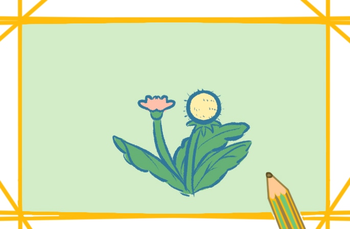 植物之蒲公英上色简笔画图片教程