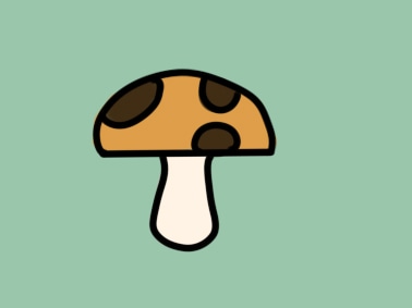 花色的蘑菇上色简笔画图片教程