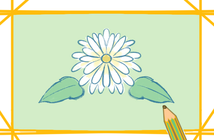 美丽的白菊花上色简笔画要怎么画